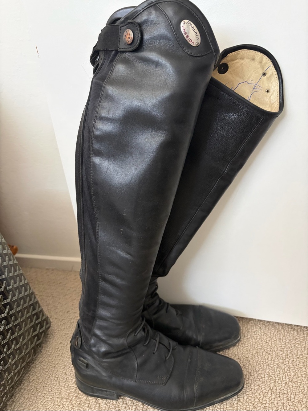 Parlanti Passion  Dallas Pro MH+ 38 Equestrian high boots - Picture 10 of 10